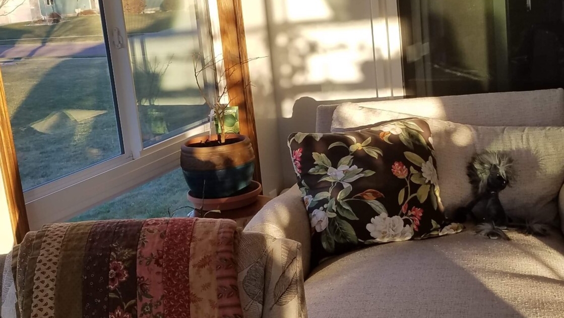 Sunroom/Four Season Room