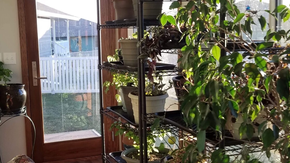 Sunroom/Four Season Room