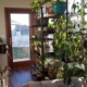 Sunroom/Four Season Room