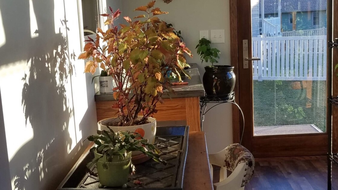 Sunroom/Four Season Room