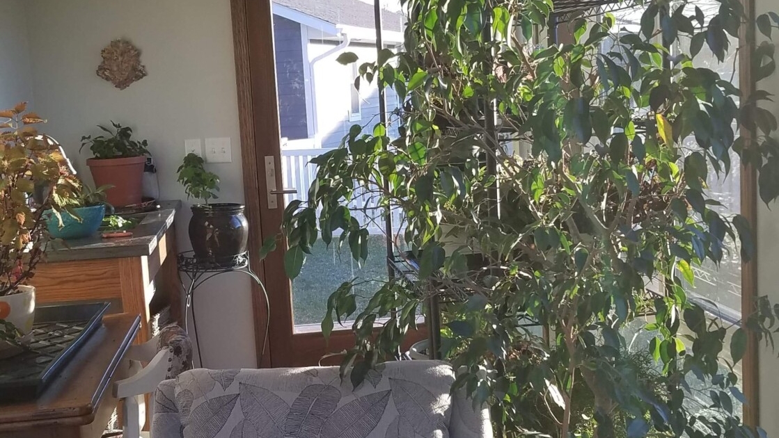 Sunroom/Four Season Room