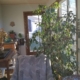 Sunroom/Four Season Room